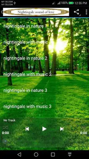 Play Music Spa-Nightingale as an online game Music Spa-Nightingale with UptoPlay