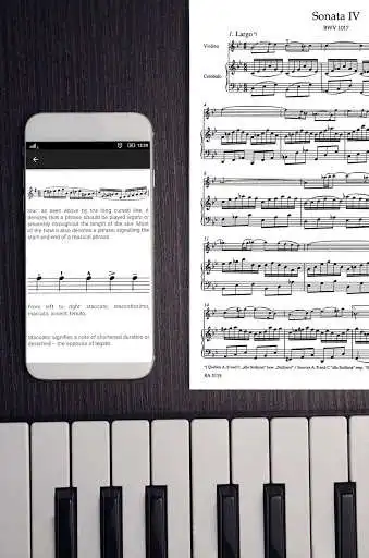 Play APK Music Theory Made Easy! and enjoy Music Theory Made Easy! with UptoPlay com.ssproductions.foreignmusicterms Play APK Music Theory Made Easy! and enjoy Music Theory Made Easy! with UptoPlay com.ssproductions.foreignmusicterms