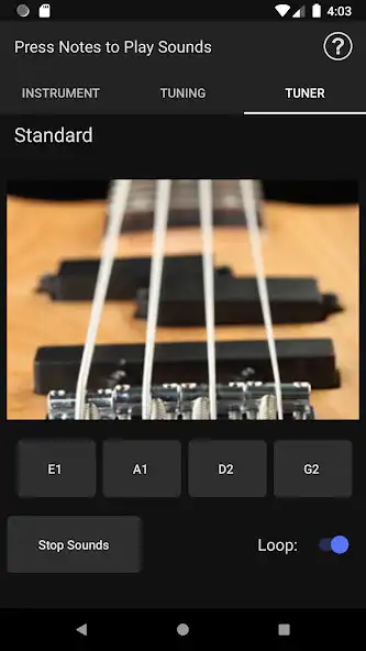 Play MusicToolkit: Bass  and enjoy MusicToolkit: Bass with UptoPlay