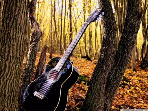 Play Music Wallpaper  and enjoy Music Wallpaper with UptoPlay