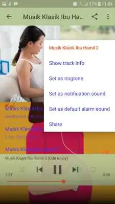 Play Musik Klasik Ibu Hamil Populer