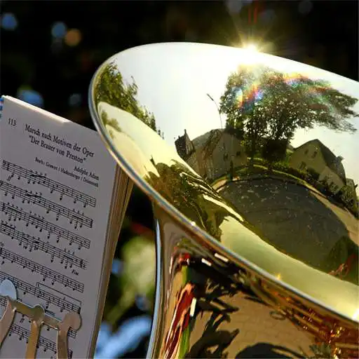 Play Musikverein Westenfeld e.V. APK