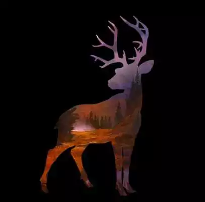 Play Must-Know Deer Hunter 2016 TT