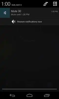 Play Mute 30