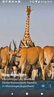 Play Muzei - Bing Image of the Day Play Muzei - Bing Image of the Day