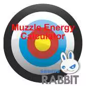 Free play online Muzzle Energy Calculator APK
