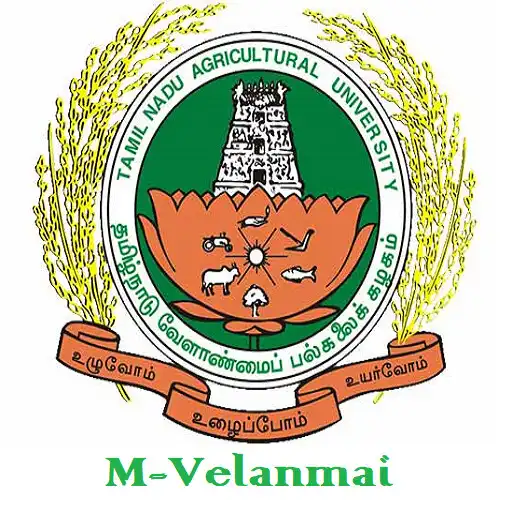 Play M Velanmai APK Play M Velanmai APK