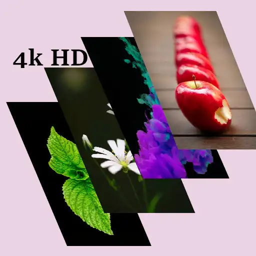 Play Mwall - Mobile wallpaper & HD background APK Play Mwall - Mobile wallpaper & HD background APK
