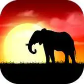 Free play online My Africa Live Wallpaper APK