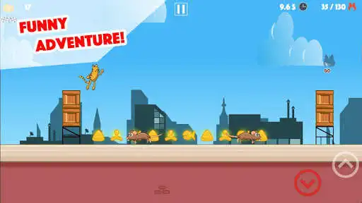 Play My Amazing Cats as an online game My Amazing Cats with UptoPlay
