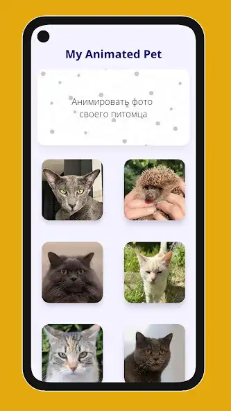 Play My Animated Pet: talking cat  and enjoy My Animated Pet: talking cat with UptoPlay