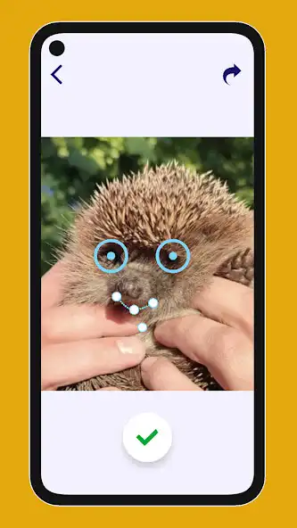 Play My Animated Pet: talking cat as an online game My Animated Pet: talking cat with UptoPlay