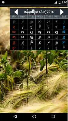 Play Myanmar Calendar 2016