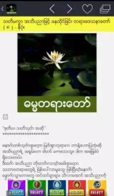 Play Myanmar Dhamma