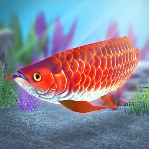 Play My Asian arowana Aquarium APK Play My Asian arowana Aquarium APK