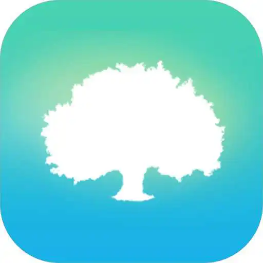 Play My BigTree APK