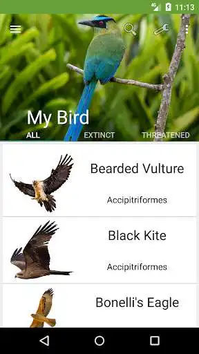 Play My Bird - Brids of France  and enjoy My Bird - Brids of France with UptoPlay