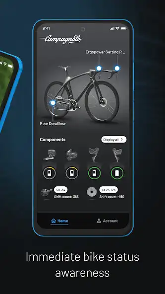 Play MyCampy 3.0 as an online game MyCampy 3.0 with UptoPlay