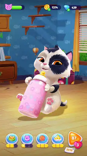 Play My Cat - Cat Simulator Game as an online game My Cat - Cat Simulator Game with UptoPlay