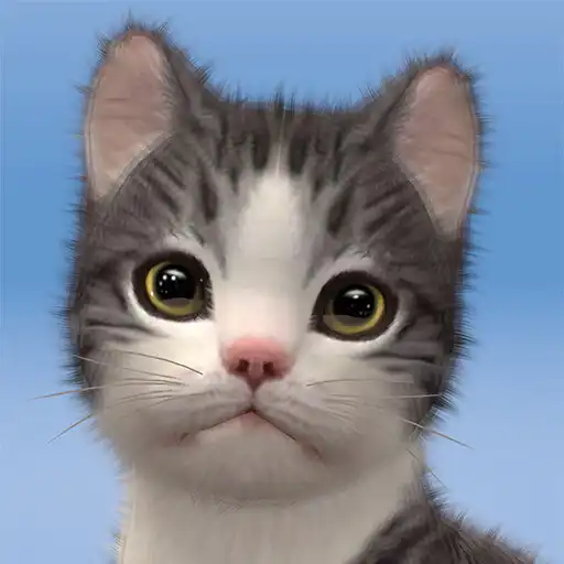 Play My Cat:Cute Kitten Simulator APK