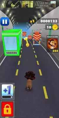 Play My Cat Lion Leo Run - Pet Leo Simulator