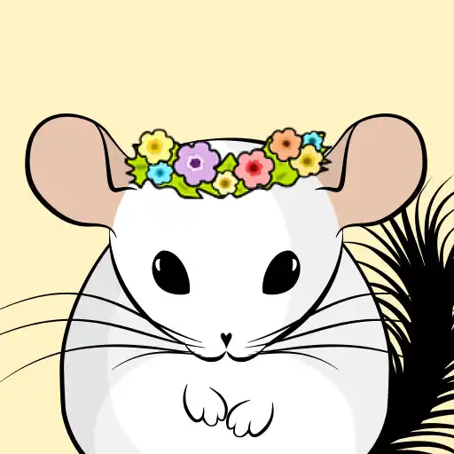 Play My Chinchilla APK