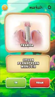 Play MyCikgu Thn 4 Sains CM 1