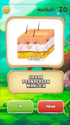 Play MyCikgu Thn 4 Sains CM 1