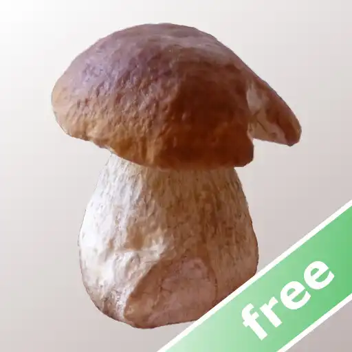 Play Myco free - Mushroom Guide APK Play Myco free - Mushroom Guide APK