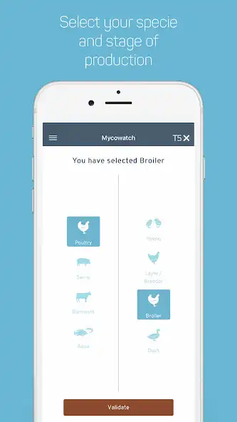 Play Mycowatch as an online game Mycowatch with UptoPlay