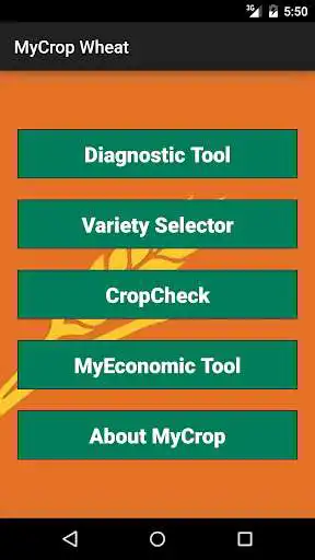 Play MyCrop Wheat  and enjoy MyCrop Wheat with UptoPlay