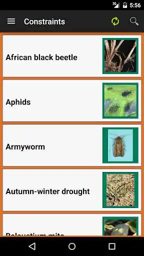 Play MyCrop Wheat as an online game MyCrop Wheat with UptoPlay