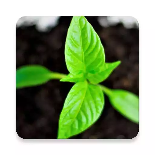 Free play online MyCure - The Home Remedies APK Free play online MyCure - The Home Remedies APK