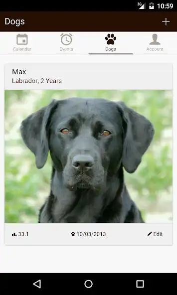 Play My Dog - Health  Care  and enjoy My Dog - Health  Care with UptoPlay