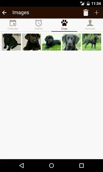 Play My Dog - Health  Care as an online game My Dog - Health  Care with UptoPlay