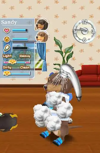 Play My Dog My Room Free  and enjoy My Dog My Room Free with UptoPlay