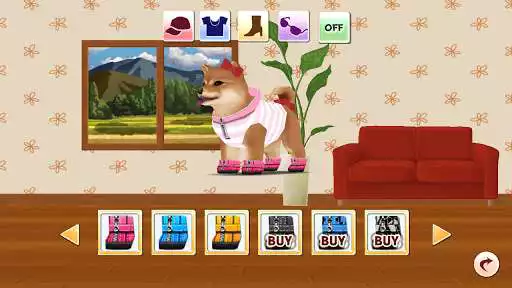 Play My Dog My Style as an online game My Dog My Style with UptoPlay