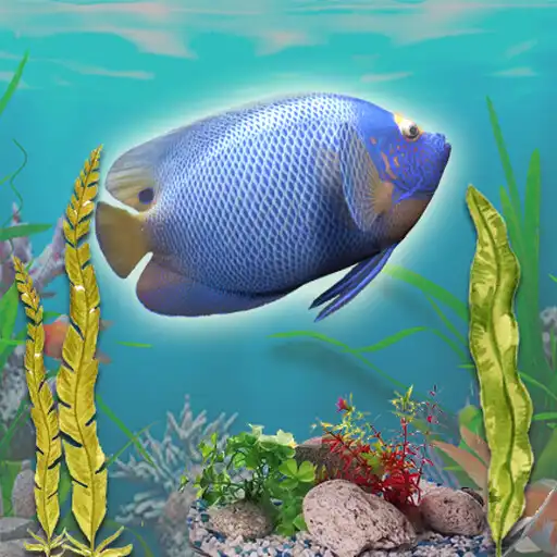 Play MyDreamPet AQUAS APK