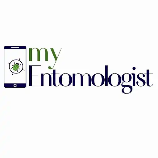 Play MyEntomologist APK Play MyEntomologist APK