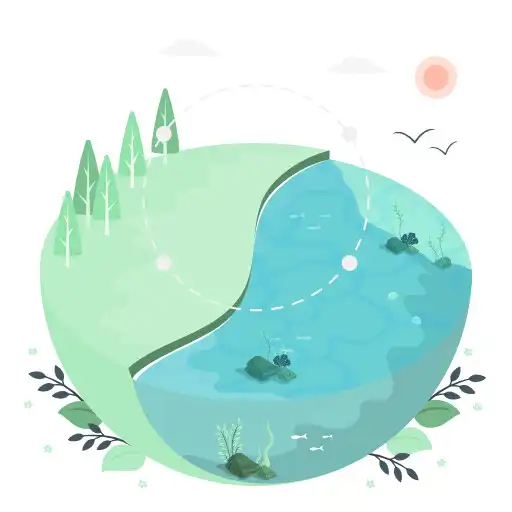 Play My Estuary APK Play My Estuary APK