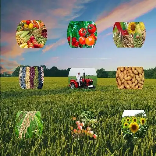 Play My Farmer - INDIA APK