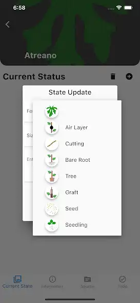 Play My Fig Trees as an online game online My Fig Trees with UptoPlay Play My Fig Trees as an online game My Fig Trees with UptoPlay