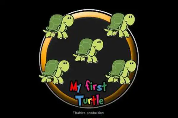 Play my first turtle