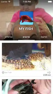 Play my-fish as an online game my-fish with UptoPlay