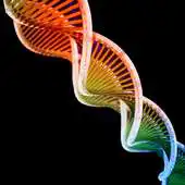 Free play online MYfitCODE for Health Clubs APK