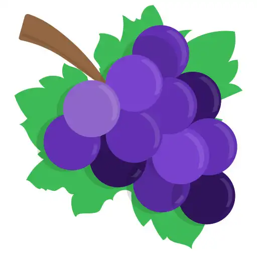 Play My FTTP APK
