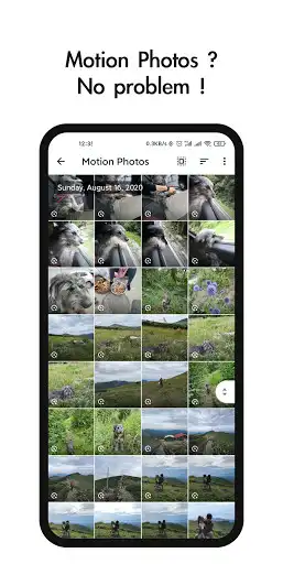 Play My Gallery as an online game My Gallery with UptoPlay