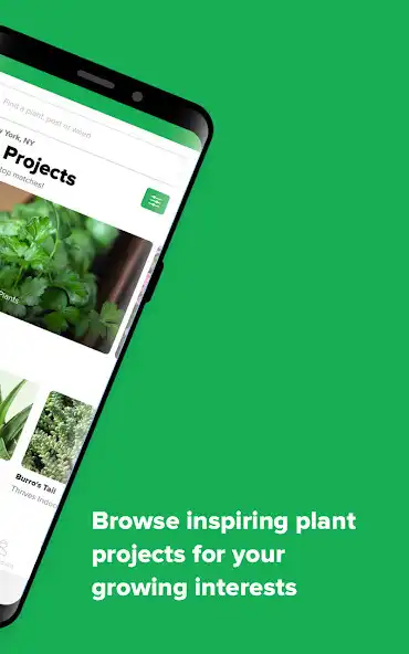 Play My Garden: Inspiration To Grow as an online game My Garden: Inspiration To Grow with UptoPlay