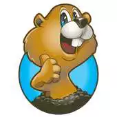 Free play online myGopher APK