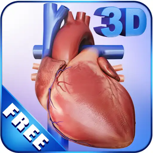 Play My Heart Anatomy APK Play My Heart Anatomy APK